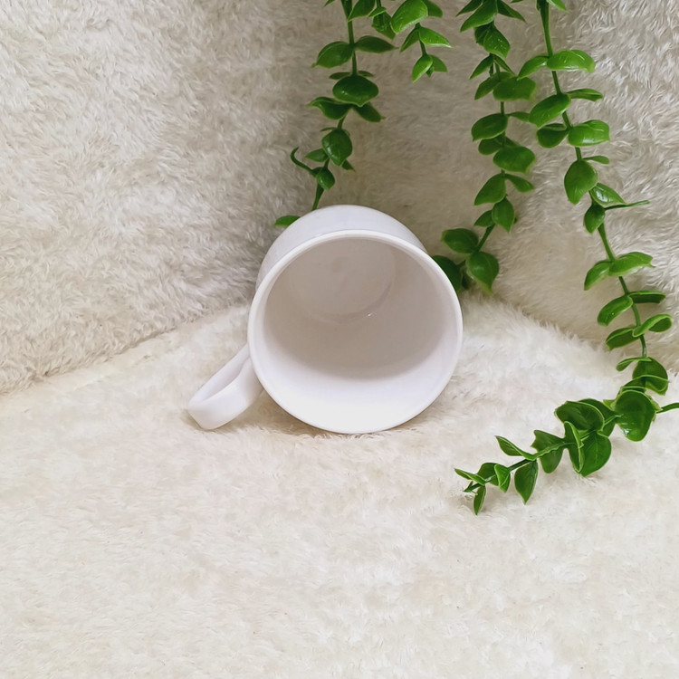 ماگ گلسر پاپیون، استعلام موجودی و پس کرایه