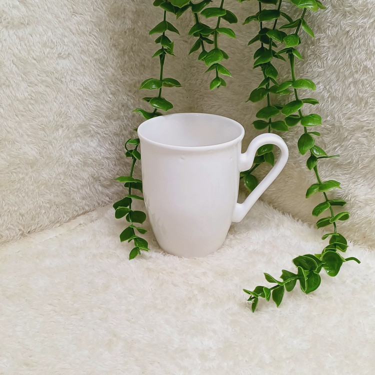 ماگ گلسر پاپیون، استعلام موجودی و پس کرایه