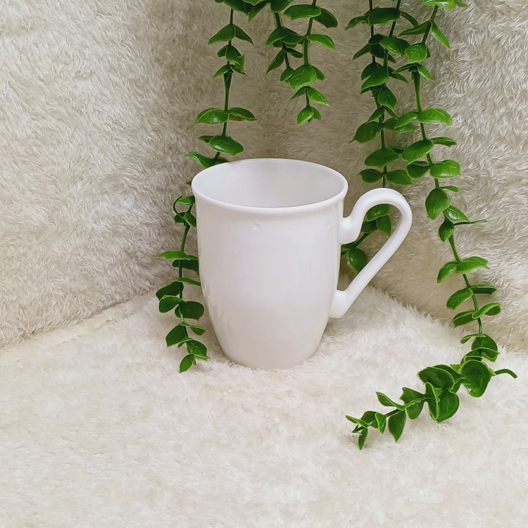 ماگ گل آفتابگردون ،استعلام موجودی و پس کرایه